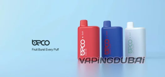 Beco Pro 6000 puffs disposable