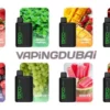 Beco Pro 6000 puffs disposable