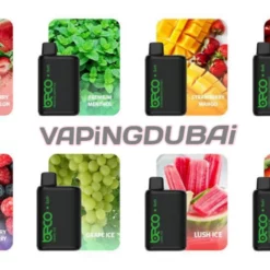 Beco Pro 6000 puffs disposable