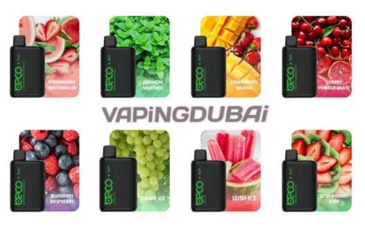 Beco Pro 6000 puffs disposable