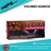 terea bronze kazakhstan