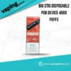 Big Stig Disposable Pod Device 4000 Puffs