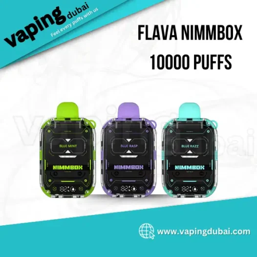 Flava Nimmbox 10000 Puffs Disposable Vape in UAE